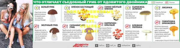 прущие грибы Алексин