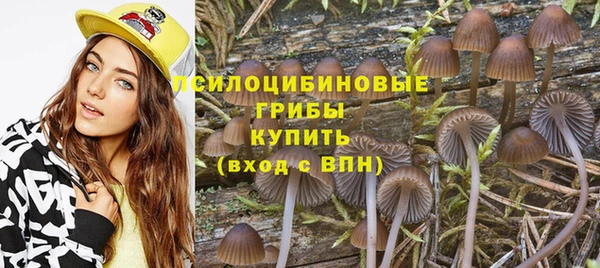 твердый Инта